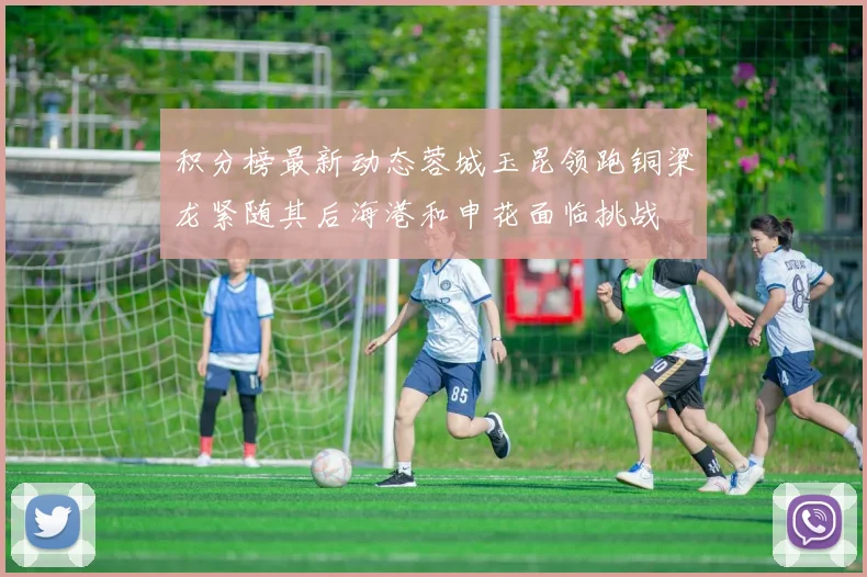 积分榜最新动态蓉城玉昆领跑铜梁龙紧随其后海港和申花面临挑战